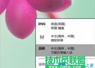 Win8系统LOL一打字就卡怎么办?