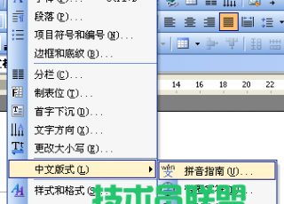WPS文字怎样录入无中文拼音
